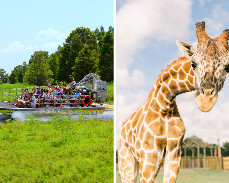30-Minute Airboat Ride & Safari Park Combo