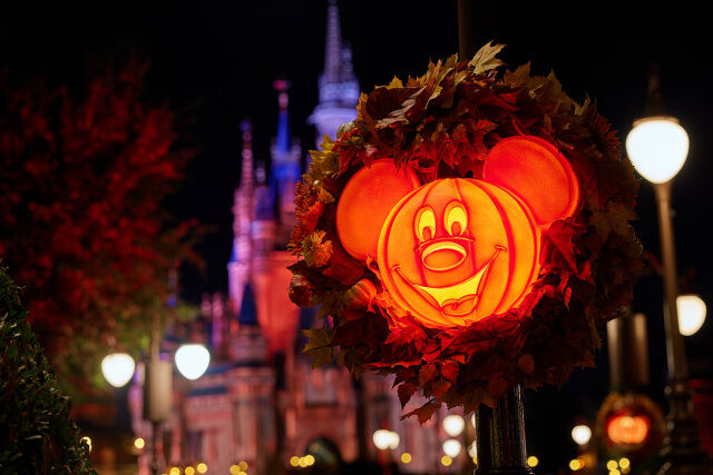 Mickey’s Not So Scary Halloween Party Ticket