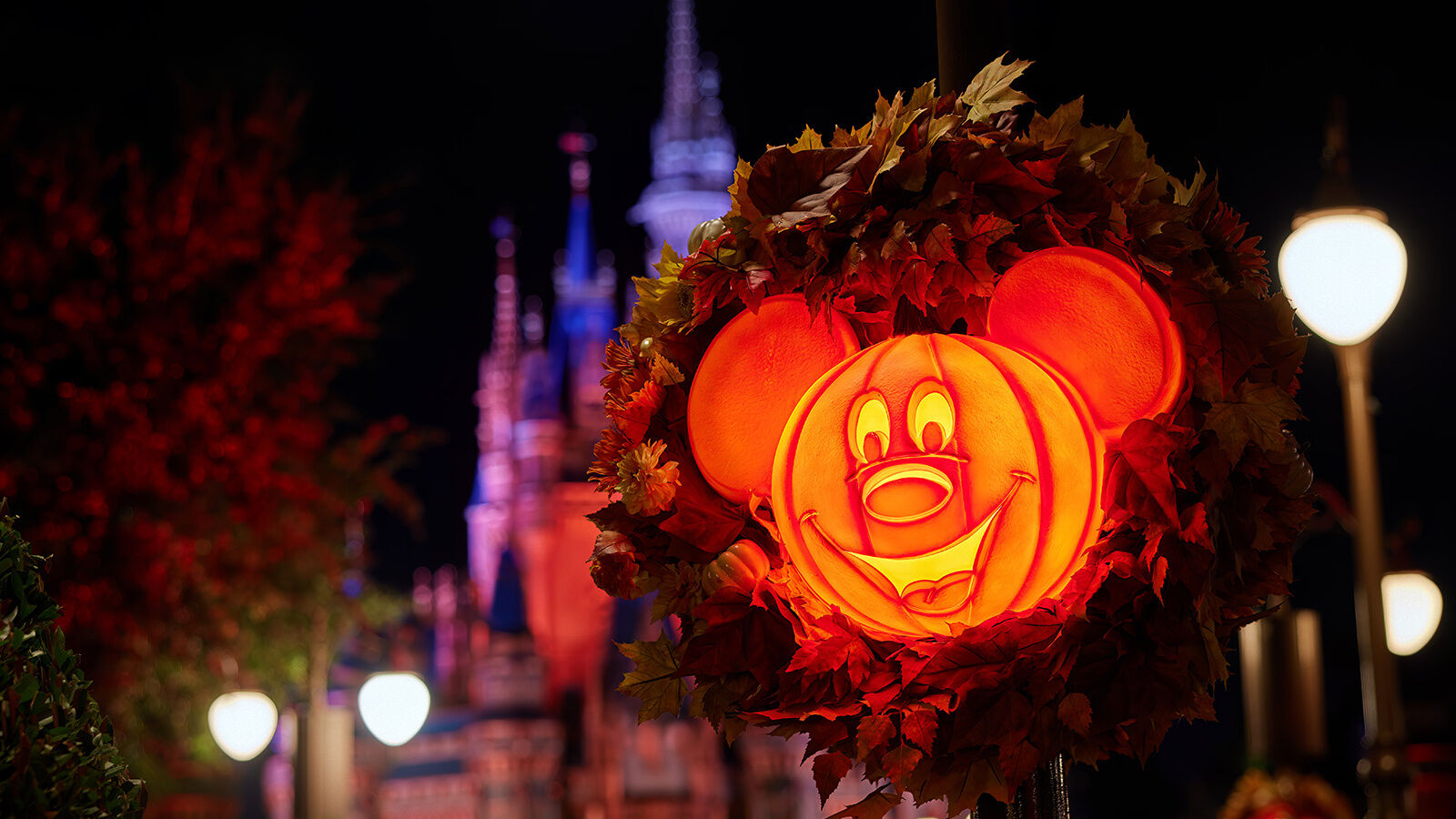 Mickey’s Not So Scary Halloween Party Ticket