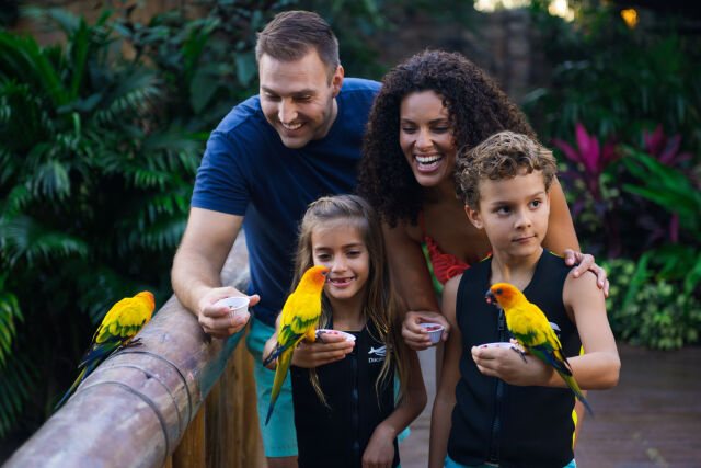 Discovery Cove Ultimate Package - Non-Swim