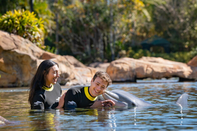 Discovery Cove Standard Package - Dolphin Swim