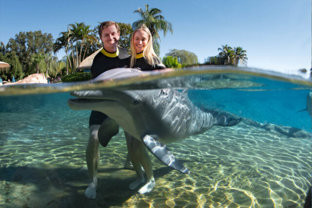 Discovery Cove Ultimate Package - Dolphin Swim