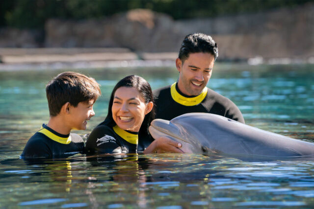 Discovery Cove Day Only - Swim Ticket