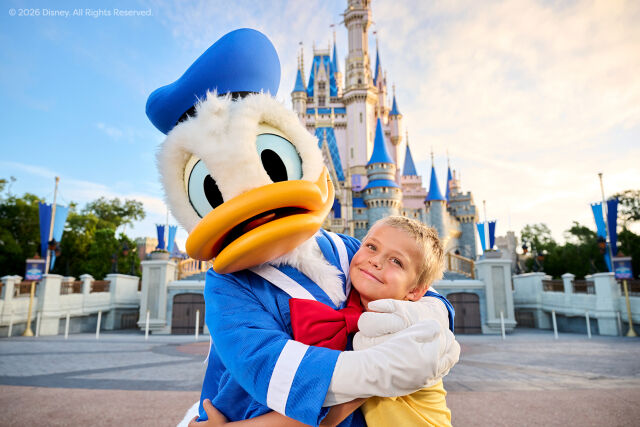 Disney & SeaWorld