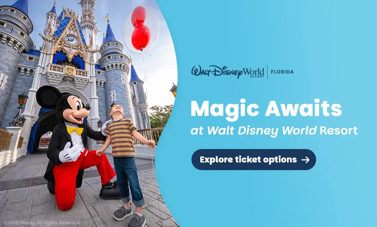 Magic Awaits at Walt Disney World Resort in Florida