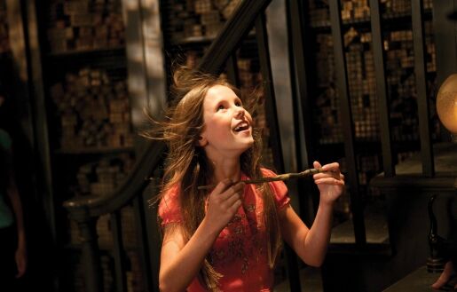 Makers of Fine Wands since 382 BC
