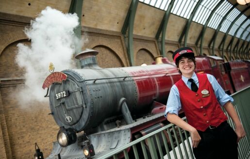The Hogwarts™ Express*