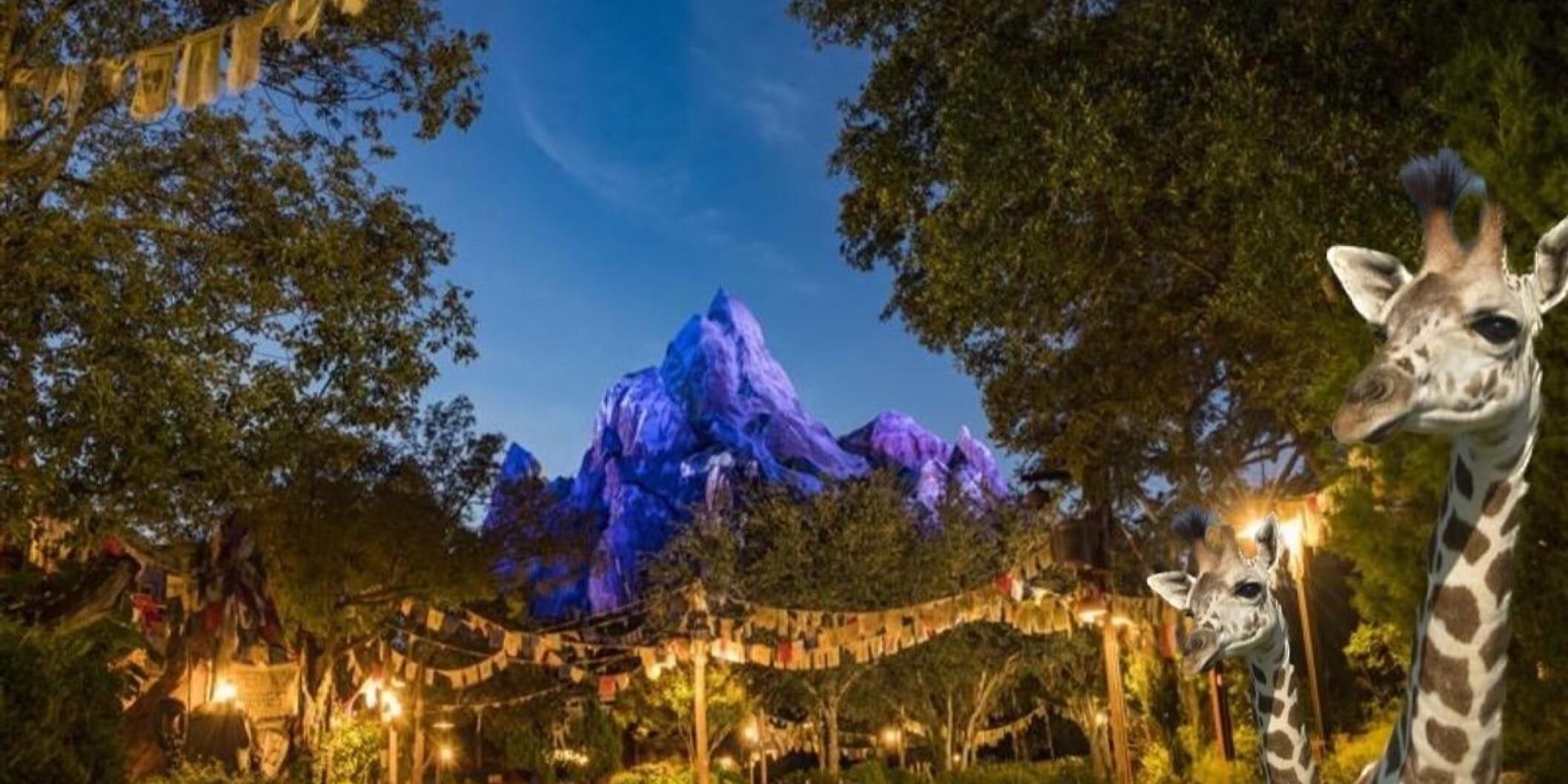 Disney's Animal Kingdom Theme Park: Fun Facts & Hidden Gems