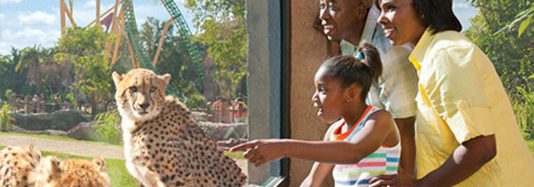 Why Pre-book Florida Tickets for the School Holidays?