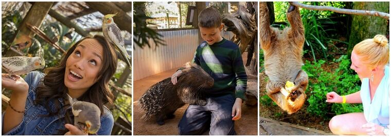 Hi Kylie! Why don’t we kick things off by hearing your funniest story about the animals at Wild Florida Park?