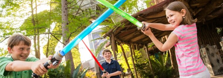 5 reasons Star Wars geeks should go to Disney World