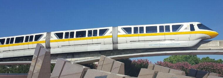 Buses at Disney World