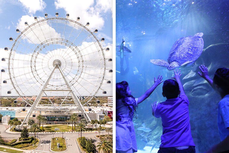 Orlando Eye & SEA LIFE Combo Ticket