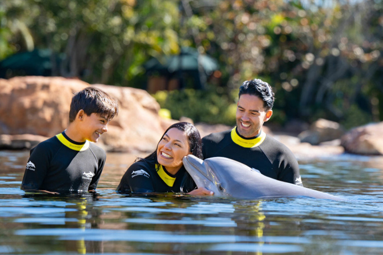 Swim With Dolphins at Discovery Cove