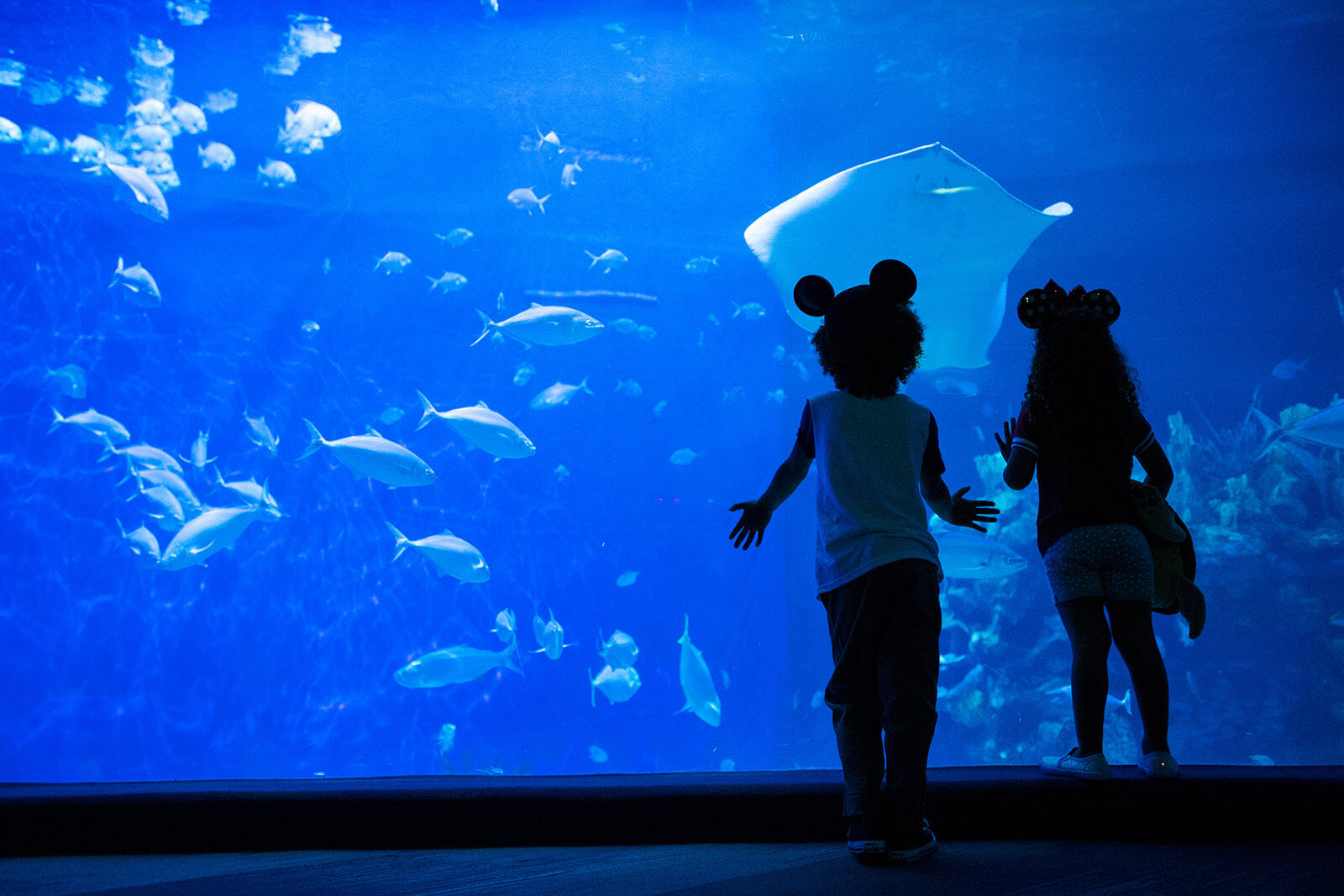 The Seas with Nemo and Friends at EPCOT