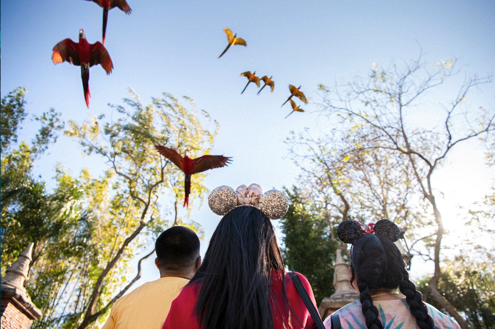 What Is Disney's Animal Kingdom Theme Park?
