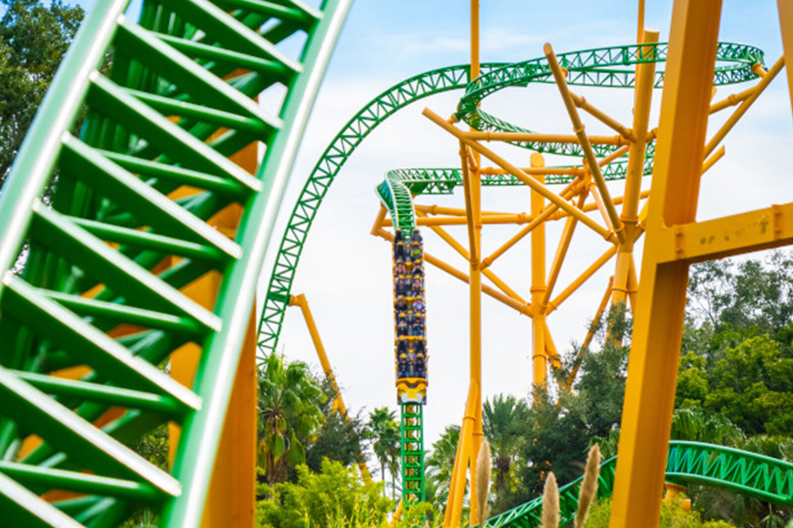 Cheetah Hunt