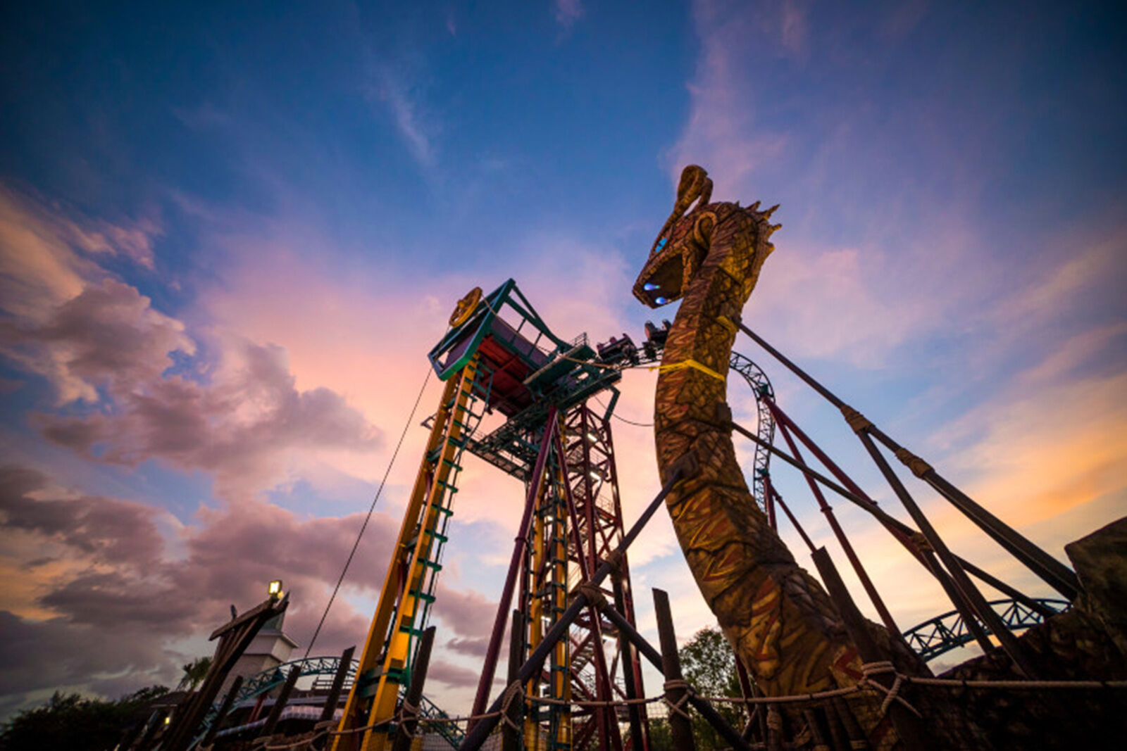 Cobra's Curse