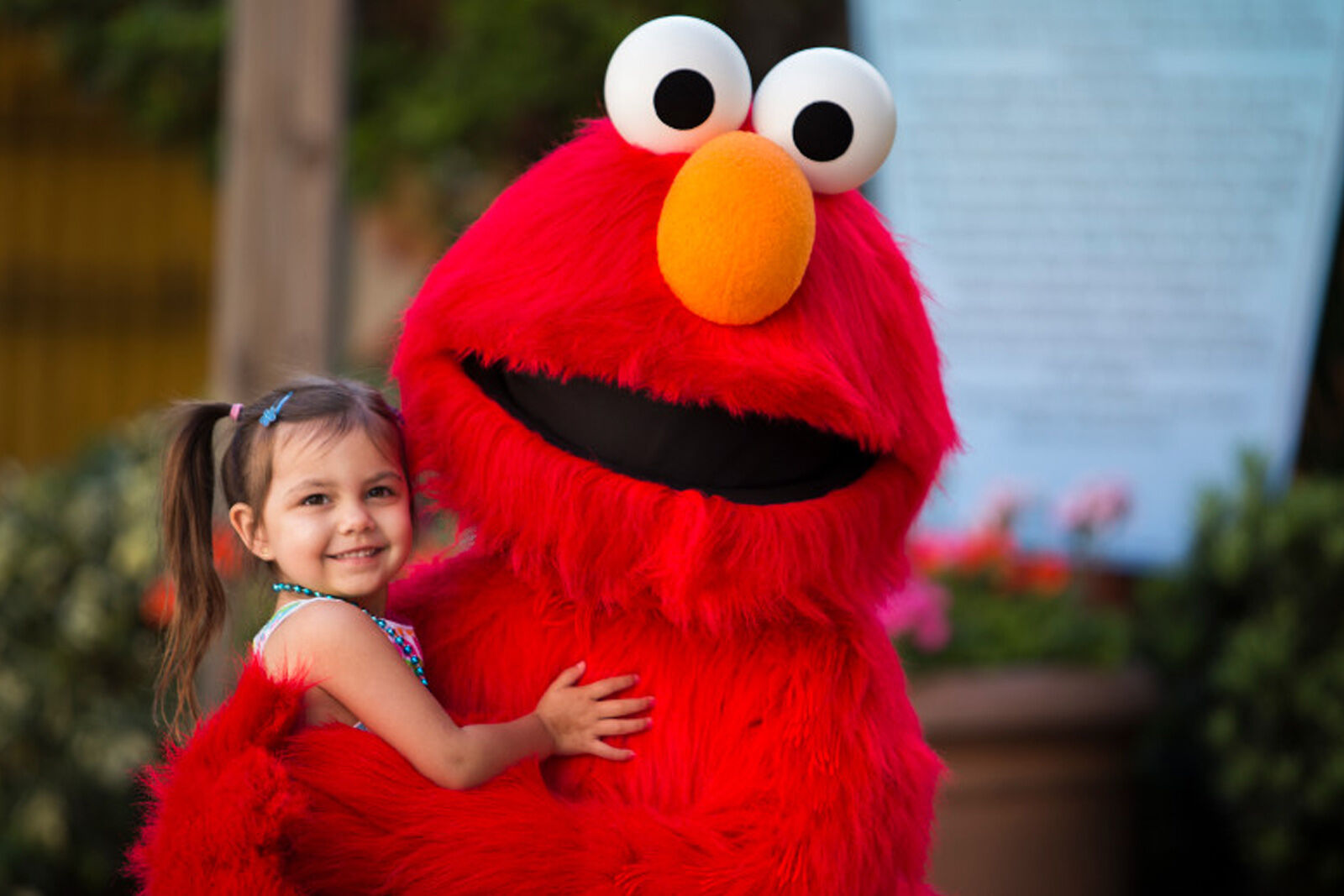 Storytime at Sesame Street Safari of Fun