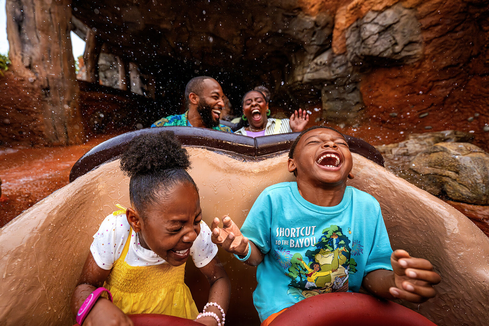 Tiana's Bayou Adventure