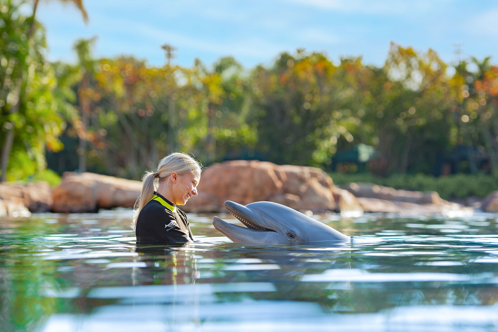 10 Things You Always Wanted to Know About the Discovery Cove Dolphin Swim