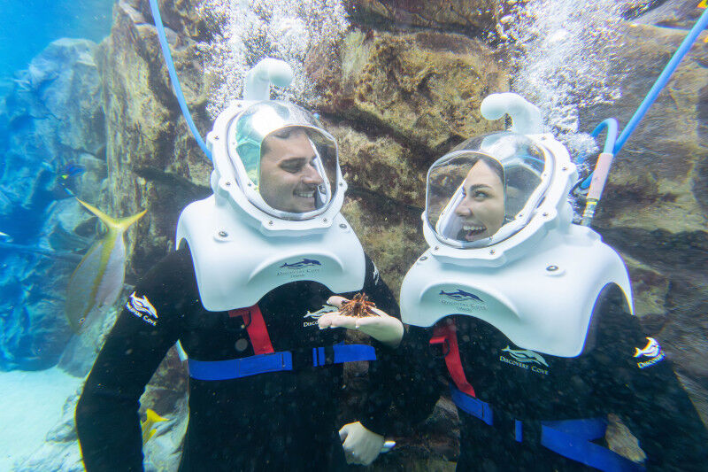 What exactly is SeaVenture at Discovery Cove?