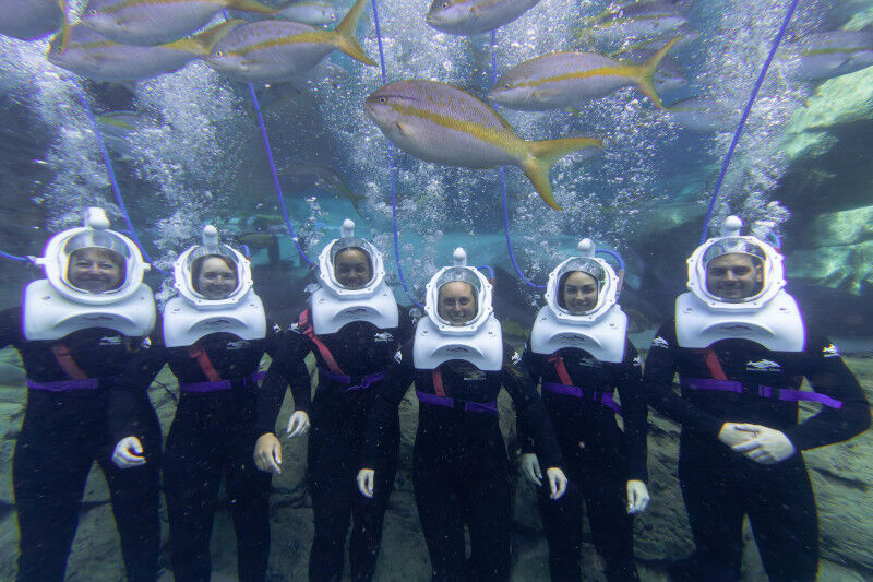 7. How do you communicate underwater?